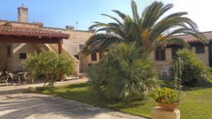 托里德欧索玛塞利亚格兰德酒店的棕榈树和庭院的房子