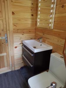 林肯West Pool Cabin的一间带水槽和卫生间的浴室
