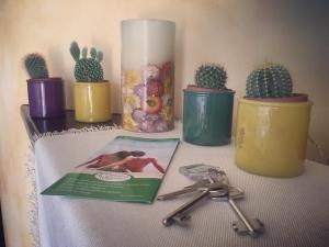 布多尼Sa Murta Bianca Guesthouse的一张桌子,上面放两对剪刀和仙人掌