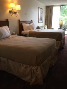 亚特兰大Cheshire Motor Inn的酒店客房设有两张床和窗户。