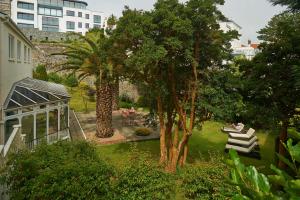 圣彼得港哈维勒特贝斯特韦斯特酒店的一座棕榈树花园,一座建筑