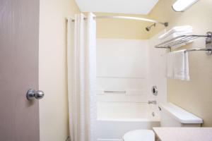 刘易斯堡速8刘易斯堡酒店的带淋浴帘和卫生间的浴室