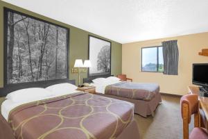 罗阿诺罗阿诺克速8酒店的酒店客房设有两张床和一台平面电视。