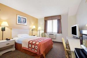 克利尔沃特坦帕圣彼得-清水湾国际机场速8酒店的酒店客房,配有床和电视