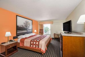 丹德里奇丹德里奇速8酒店 的配有一张床和一台平面电视的酒店客房