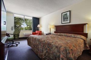多佛尔多佛尔速8酒店的配有一张床和一把椅子的酒店客房