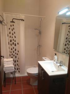 丘利利亚Casa Rural La Tia Rosa的一间带水槽、卫生间和淋浴的浴室