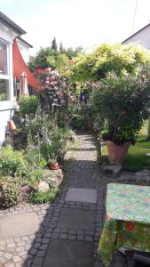 威斯巴登齐默尔弗雷酒店的庭院里种满鲜花和植物的花园
