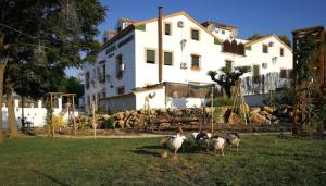 隆达Hotel Ronda Valley的一群鸡站在房子前面的院子中