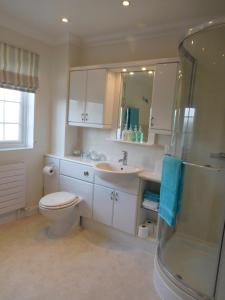 米德赫斯特Hysett House的浴室配有卫生间、盥洗盆和淋浴。