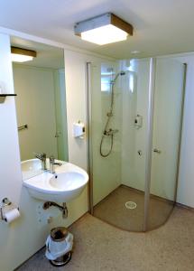 Boverdalen艾维斯特酒店的一间带水槽和淋浴的浴室