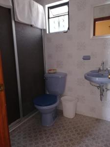 塔斯科·德·阿拉尔孔Villa San Francisco Hotel的浴室设有蓝色的卫生间和水槽。