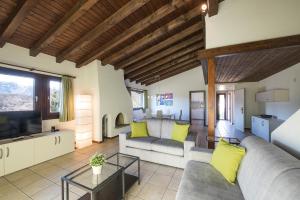 卢加诺Centro Cadro Panoramica的带沙发和电视的客厅