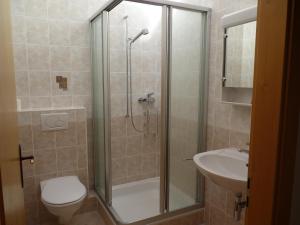 克莱恩 蒙塔纳阿尔卑斯小屋旅馆的带淋浴、卫生间和盥洗盆的浴室
