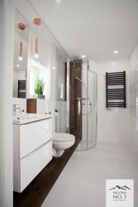维斯瓦Willowa NO. 5 APARTAMENTS的白色的浴室设有卫生间和淋浴。