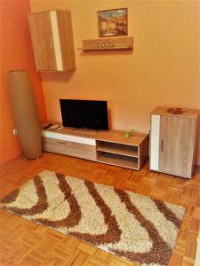 奥古林Studio apartment Meli的一间带电视和地毯的客厅