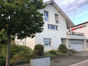 卢塞恩Charming Studio near Rotsee Lucerne Kitchen/WiFi/Wasching machine的前面有一棵树的白色房子