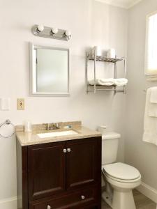 乔治湖山中旅馆的一间带卫生间、水槽和镜子的浴室