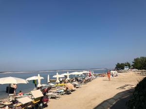 茨里克韦尼察Little villa Tony- Center 40m beach Crikvenica的海滩上摆放着一堆椅子和遮阳伞