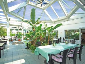 诺德施泰特坎佩咖啡厅酒店的一个带桌椅和植物的温室