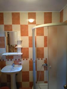 索科矿泉村Studio Milojević Sokobanja的一间带水槽和淋浴的浴室