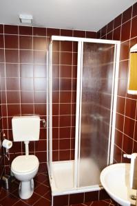 斯洛文尼亚比斯特里察丹妮卡旅馆的一间带卫生间和淋浴的浴室