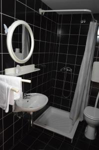 斯洛文尼亚比斯特里察丹妮卡旅馆的一间带水槽、卫生间和镜子的浴室