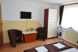 斯洛文尼亚比斯特里察丹妮卡旅馆的一间卧室配有书桌、两把椅子和电视。