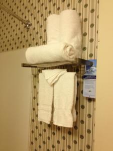 丹佛Microtel Inn & Suites by Wyndham Denver Airport的浴室毛巾架上的一束毛巾