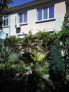 布尔加斯Viki的前面有大量植物的房子
