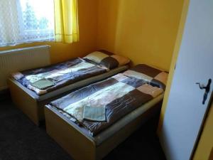 SadskáHotel Modrá hvězda Sadská的带窗户的客房内设有两张单人床。