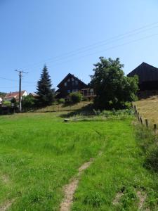 ReipertswillerGite de la Melch的一片绿草丛,有房子的背景