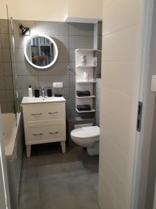 卡托维兹2 Bedroom City Center Apartment的一间带卫生间、水槽和镜子的浴室