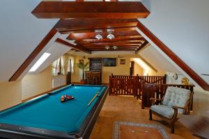 克里斯蒂安Vila Ambient的客厅设有一张台球桌,配有天花板