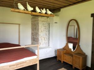 TētītesBoutique Country house - Aliteni的一间卧室配有双层床、镜子和镜子