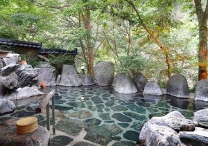 日光汤西川日式旅馆的一座拥有岩石和水池的花园