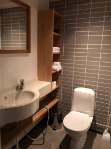 Saimaa Style Spa Chalet的一间浴室