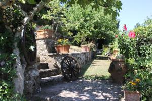 Authentic Chianti StoneHouse with Garden&Terrace外面的花园