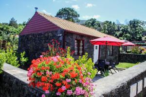 圣罗克杜皮库Aldeia das Adegas的一座带红伞和鲜花的小房子