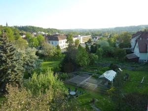 锡格马林根噶尼加戈霍夫酒店的享有花园的空中景致,设有温室