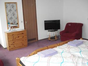 Sieber祖姆山口酒店的一间卧室配有一张床、一台电视和一把椅子