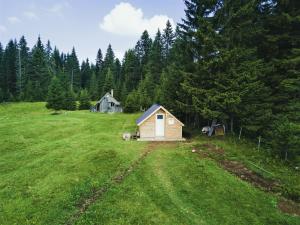 扎布利亚克Homestay Djerkovic的树木林立的小小屋