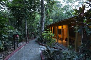 马瑙斯亚马逊生态园丛林旅馆的相册照片