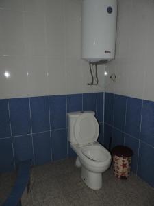 乌树故里Erasti Guesthouse的浴室设有蓝色瓷砖墙内的卫生间
