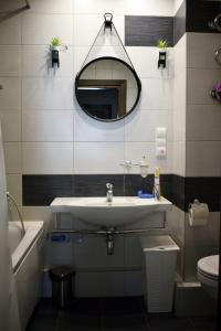 维萨吉纳斯Butterfly Apartment的一间带水槽、镜子和卫生间的浴室