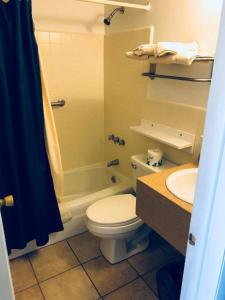 北怀尔德伍德North Wind Motel的浴室配有卫生间、盥洗盆和淋浴。