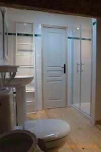 Albigny-sur-SaoneGite le grenier des maraichers的带淋浴的浴室和白色门
