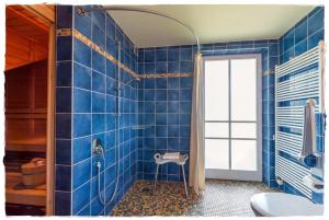 KrienkeReetdachhaus Kranich mit Schwimmteich in Krienke的蓝色瓷砖浴室配有淋浴和卫生间。