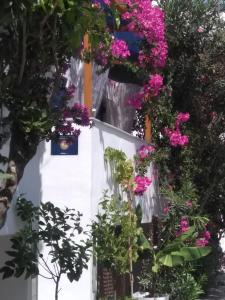 纳克索乔拉Doron Hotel Delfini的一座花朵繁多的白色房子