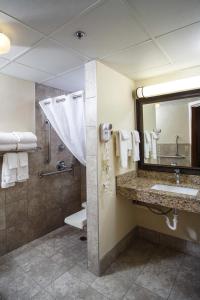 绿湾西绿湾阿美瑞辛酒店的一间带水槽、卫生间和镜子的浴室